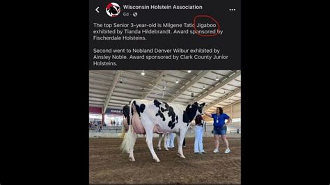 Champion Intermediate Cow (classes 11, 14, 15, 18, 21, and 24) ... the produce of one named dam. One must be owned by exhibitor. Dam-Daughter - one must be owned by exhibitor Print. 202 - Dairy Cattle Official Results 2024 Wisconsin State Fair Dairy Cattle Awards . CLICK HERE FOR HELP ...